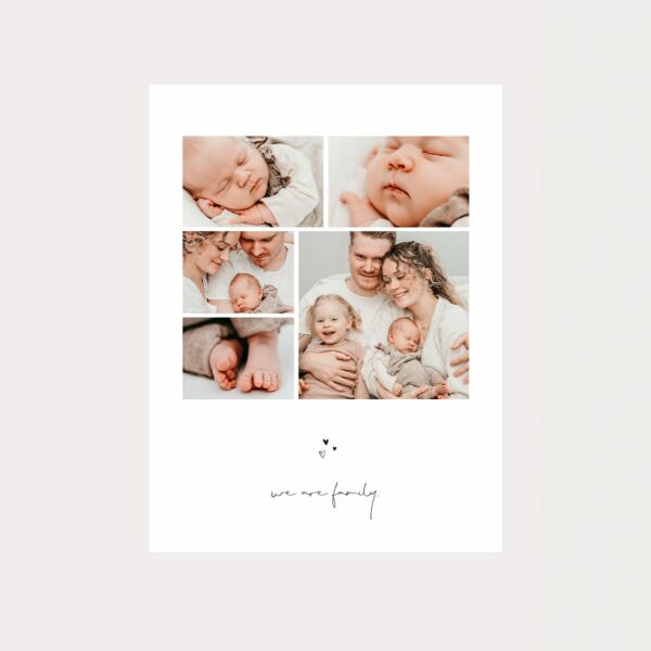 Poster We are Family