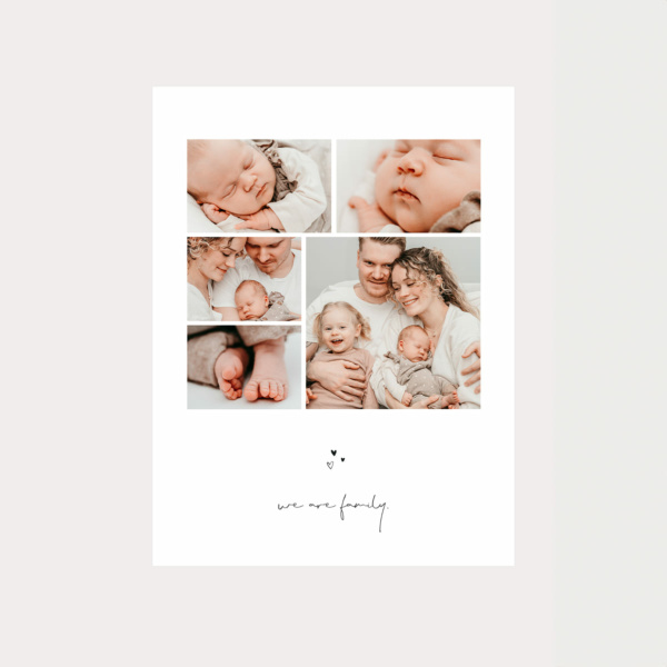 Poster We are Family